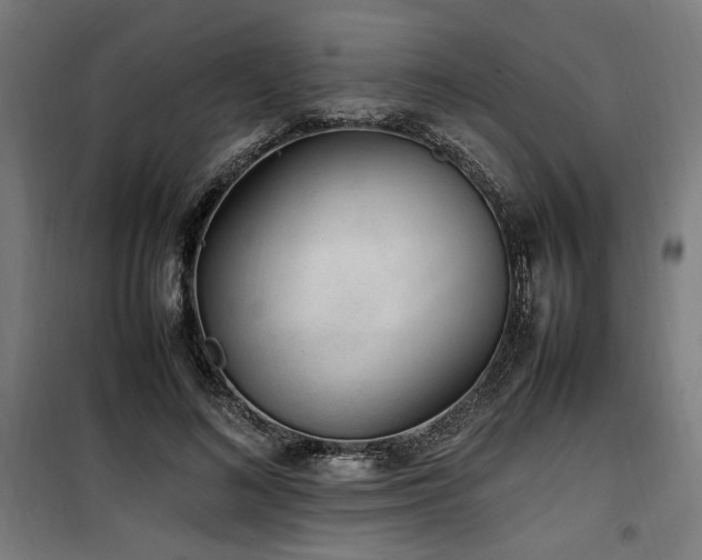 X0000100190692200805301247