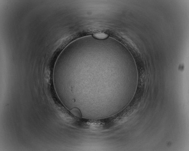 X0000100190693200805301247