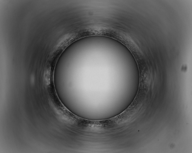 X0000100190694200805301247