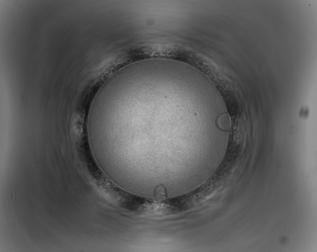 X0000100190695200805301247