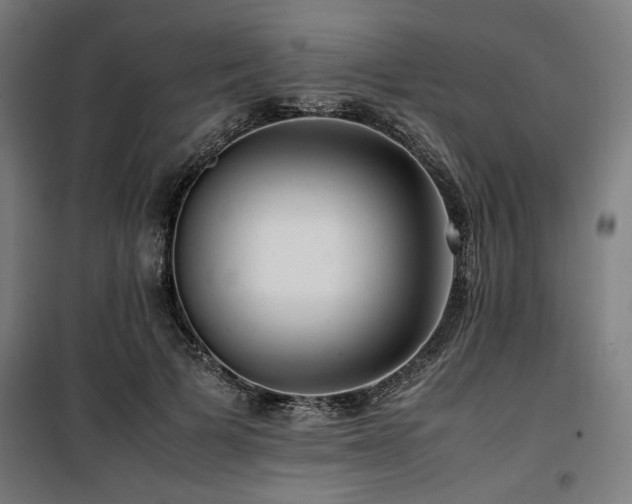 X0000100190697200805301247