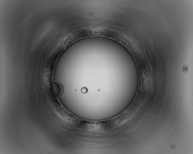 X0000100190698200805301247