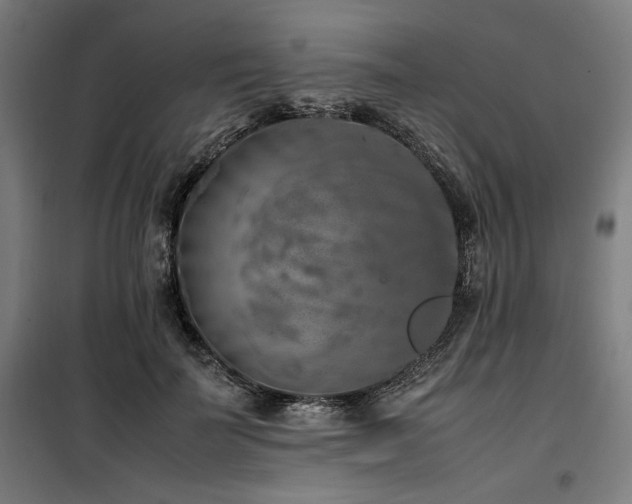 X0000100190699200805301247