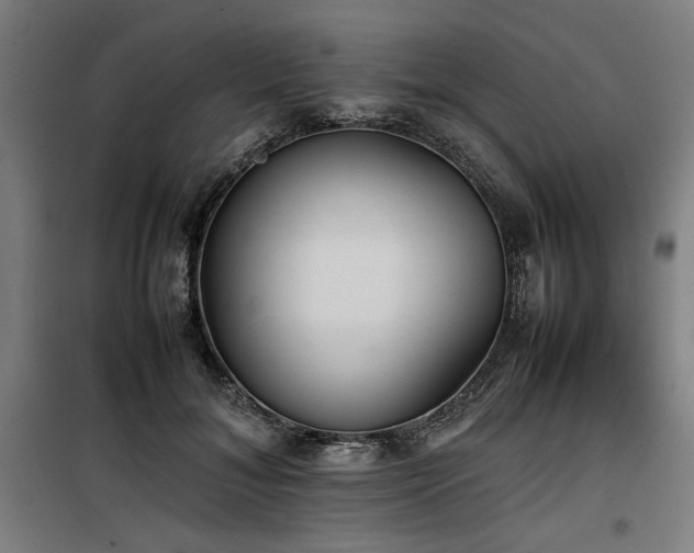 X0000100190700200805301247