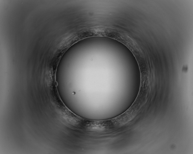 X0000100190702200805301247