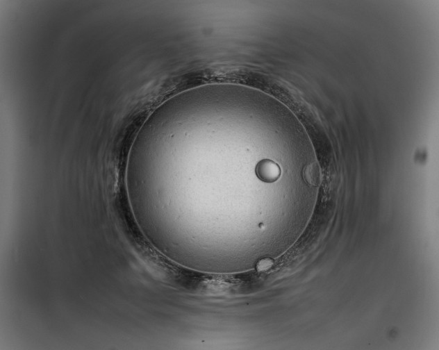 X0000100190703200805301247