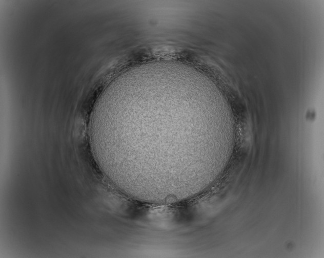 X0000100190705200805301247