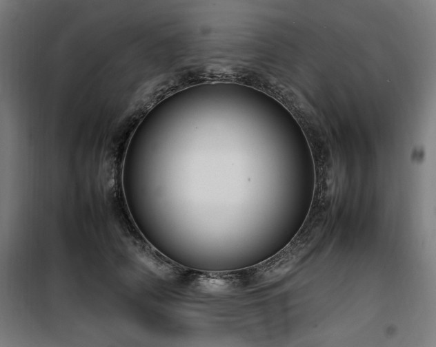 X0000100190706200805301247