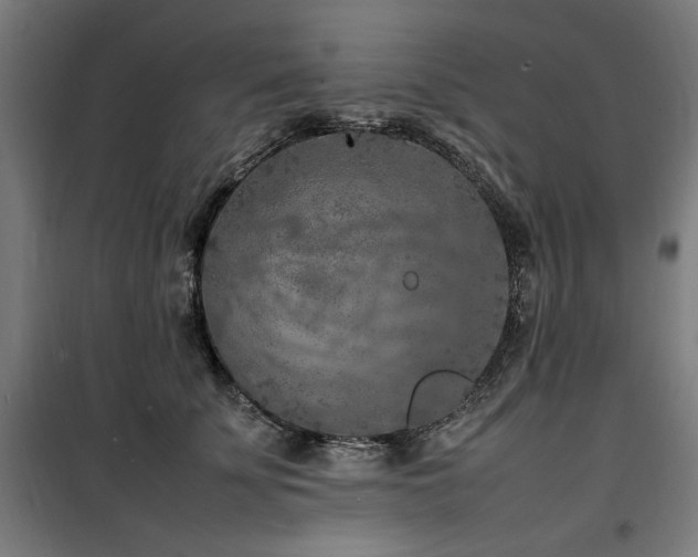 X0000100190707200805301247