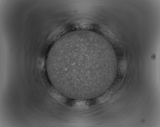 X0000100190709200805301247