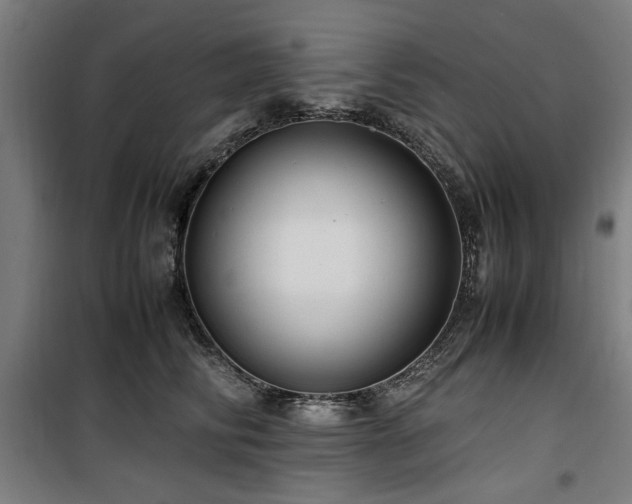 X0000100190710200805301247