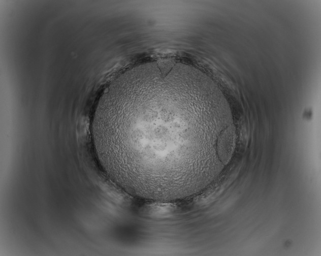 X0000100190711200805301247