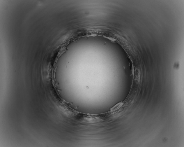 X0000100190712200805301247