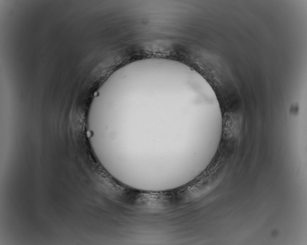 X0000100190713200805301247