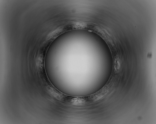 X0000100190714200805301247