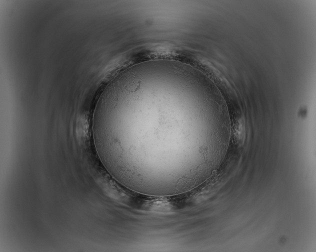 X0000100190715200805301247