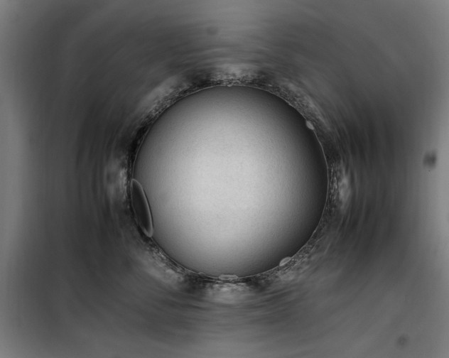 X0000100190716200805301247