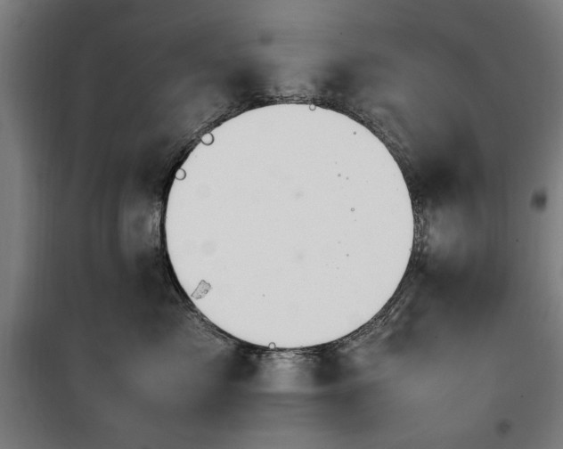 X0000100190717200805301247