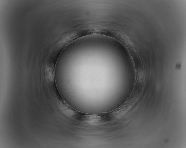X0000100190719200805301247