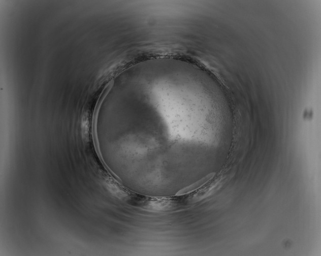X0000100190720200805301247