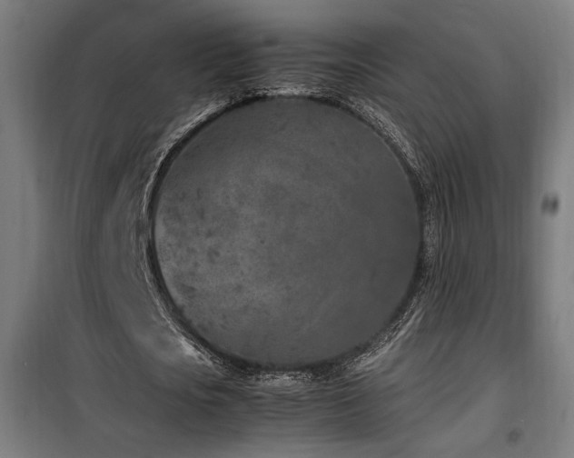 X0000100190721200805301246