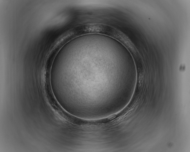 X0000100190722200805301246
