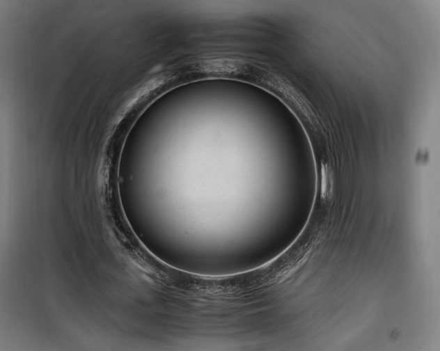 X0000100190723200805301246