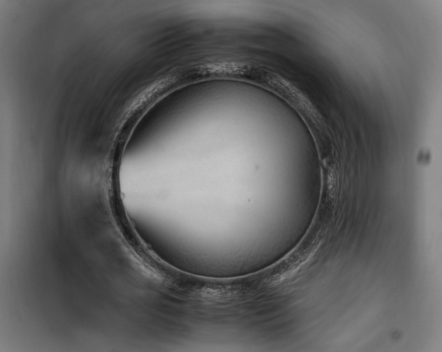 X0000100190725200805301246