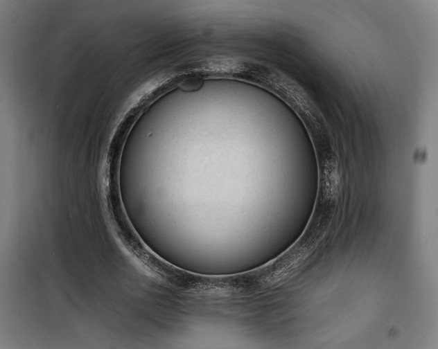 X0000100190726200805301246
