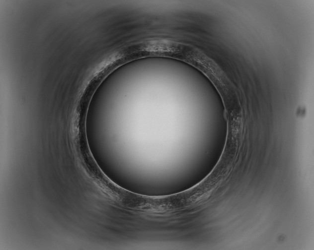 X0000100190727200805301246