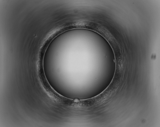 X0000100190728200805301246