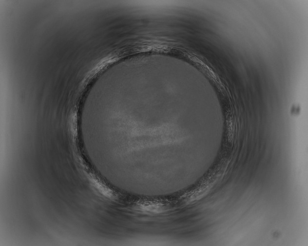 X0000100190729200805301246