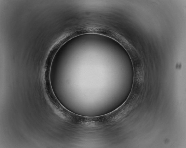 X0000100190730200805301246