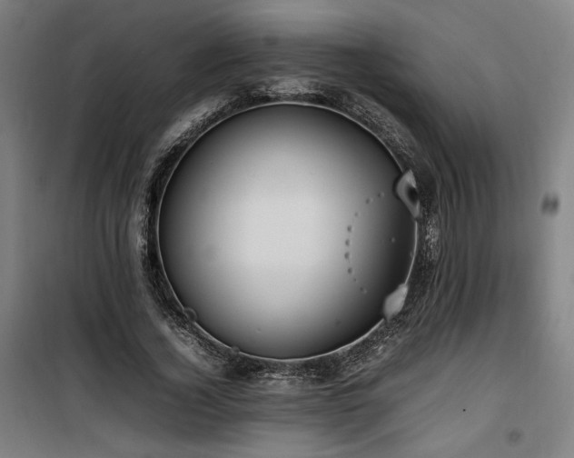 X0000100190732200805301246