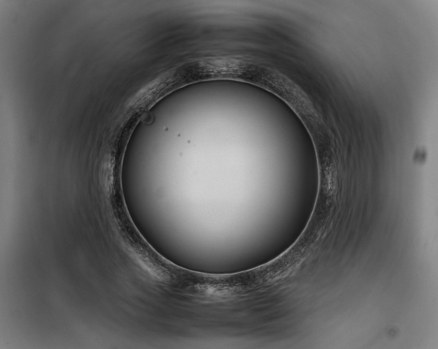X0000100190733200805301246