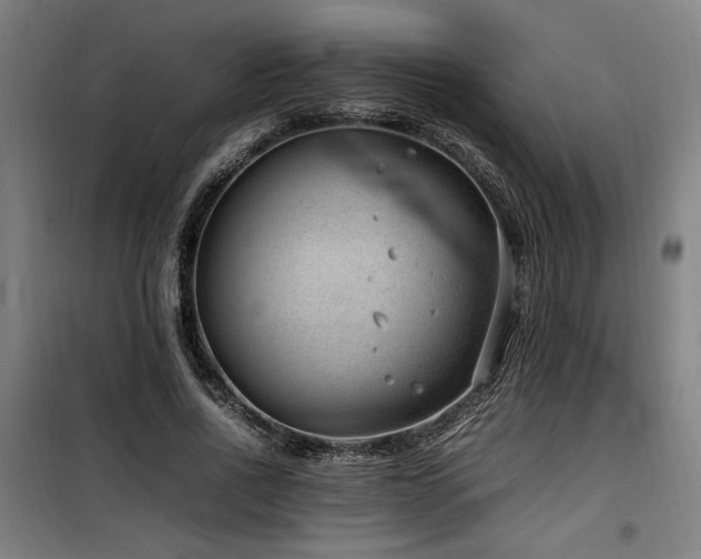 X0000100190734200805301246