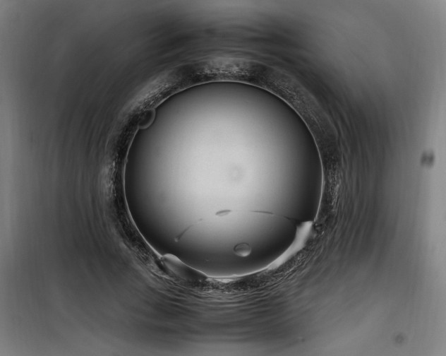 X0000100190735200805301246