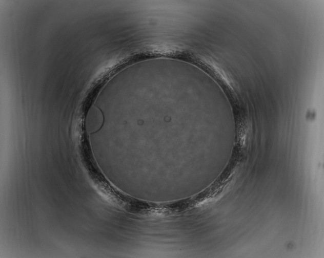X0000100190736200805301246