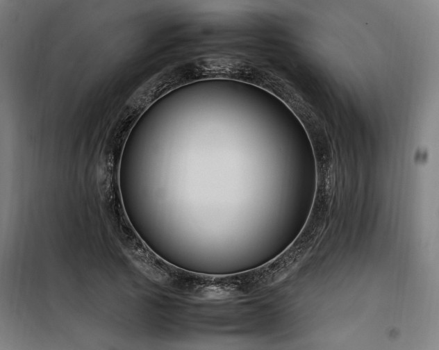 X0000100190737200805301246
