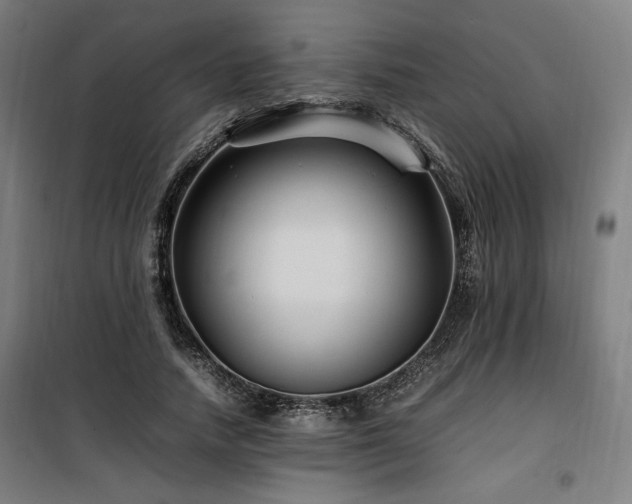 X0000100190738200805301246