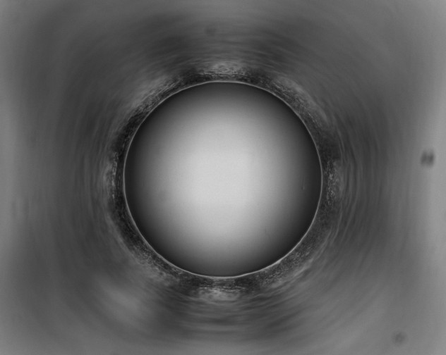 X0000100190739200805301246
