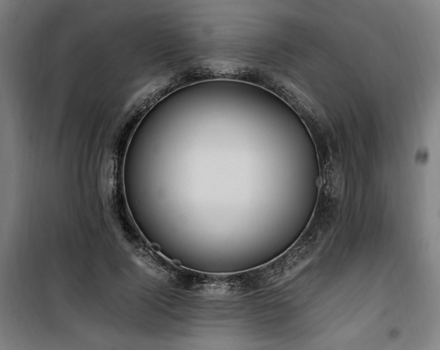 X0000100190740200805301246