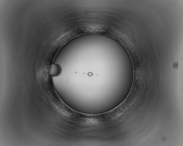X0000100190741200805301247