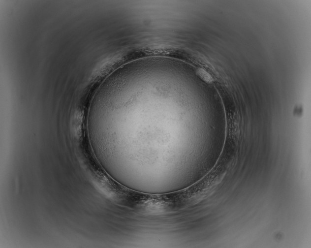 X0000100190742200805301247
