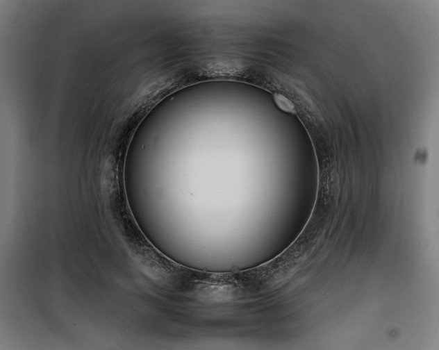 X0000100190743200805301247