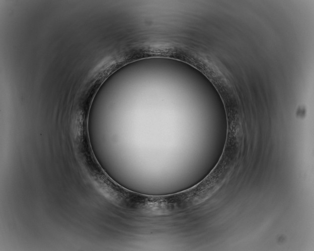 X0000100190744200805301247