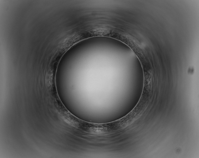 X0000100190745200805301247