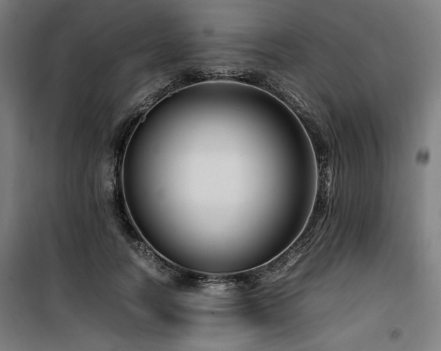 X0000100190746200805301247