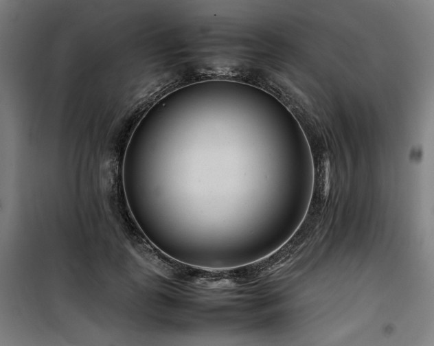 X0000100190747200805301247