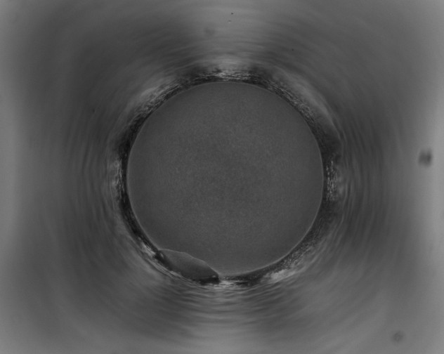 X0000100190748200805301247